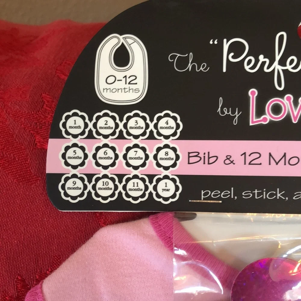 Milestone pink Bib with 12 flower monthly stickers for the perfect picture